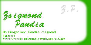 zsigmond pandia business card